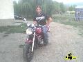 Suzuki Bandit GSF 250